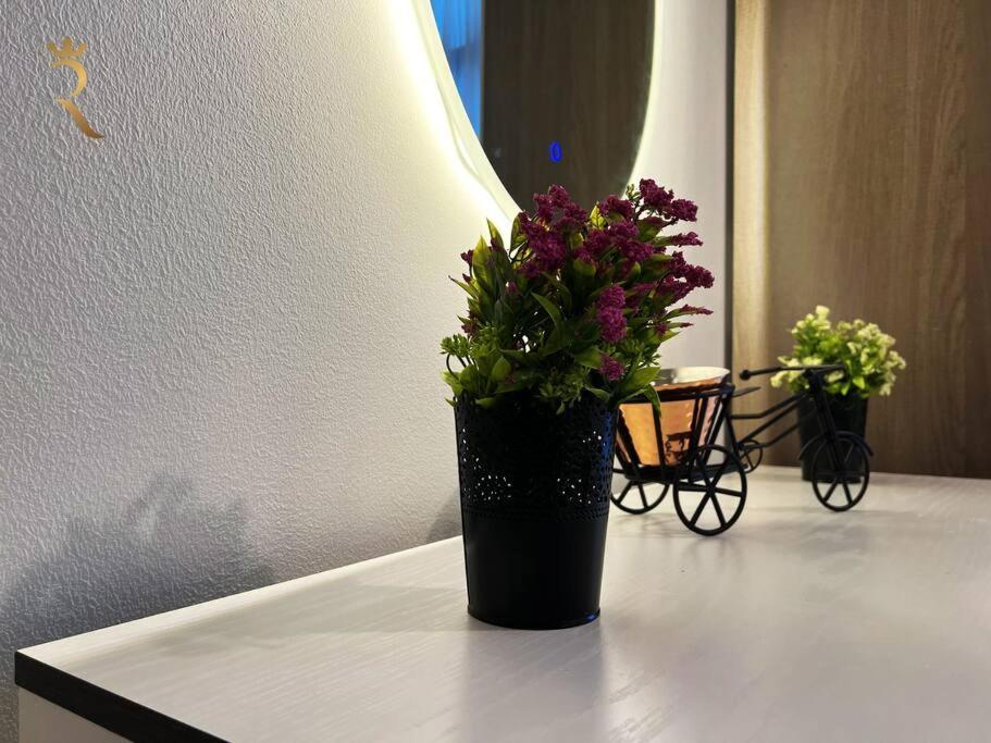 Escape In Al Reem Oasis Euphoria Abu Dhabi